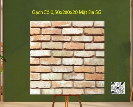 Gạch Cổ 0,50x200x20 - Mặt Bìa SG