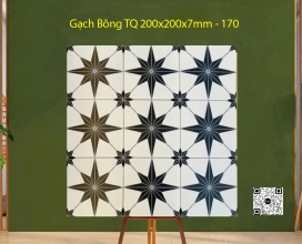 Gạch Bông 200x200x7mm - 170