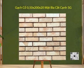 Gạch cổ 0,50x200x20 - Mặt Bìa Cắt Cạnh SG