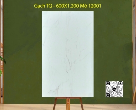 Gạch Ốp Lát 600x1200 - 12001